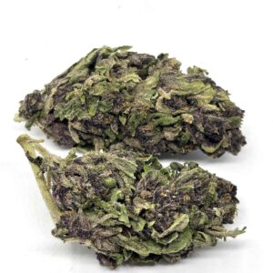 Purple Kush