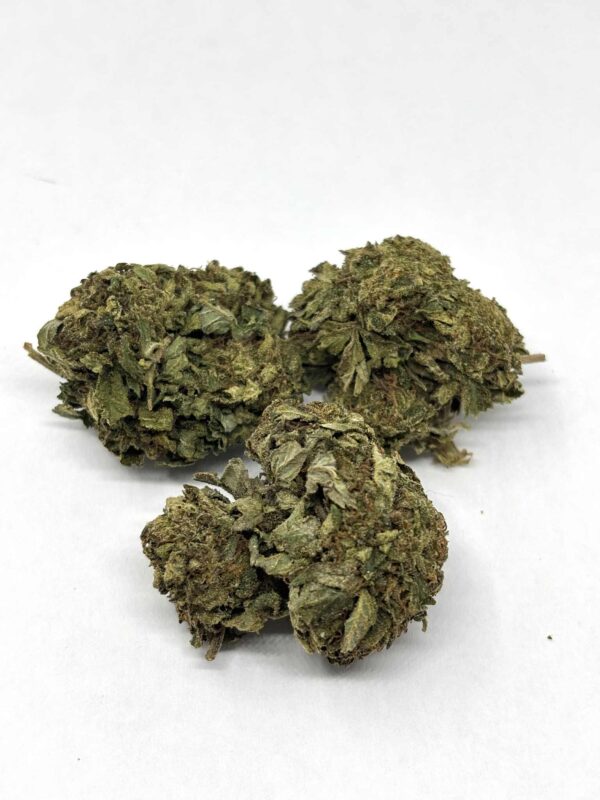 BC Big Bud