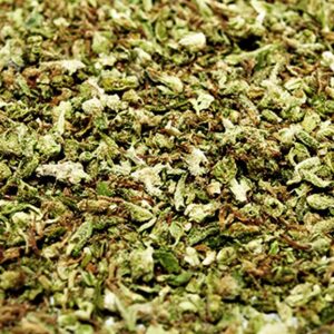 Shake (AA) FINAL SALE NO REFUNDS/ EXCHANGES.