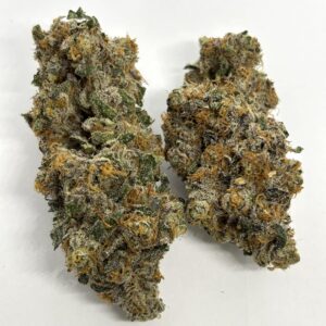 Prom Queen (Kootenay Exotic)