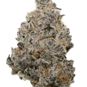 Randy Marsh (Kootenay Exotic)