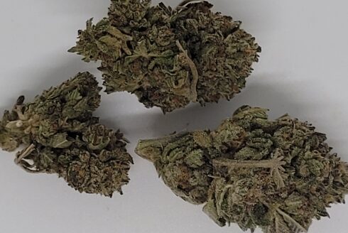 Purple Punch