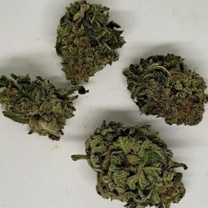 Blueberry Beast