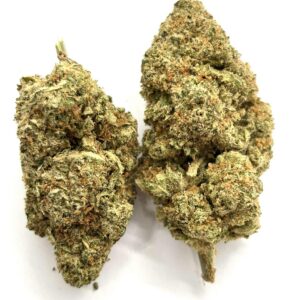 Orange Creamsicle