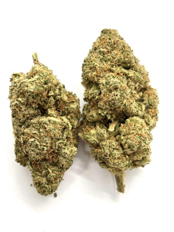 Orange Creamsicle