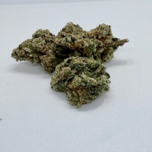 Glitter Bomb (Kootenay Exotic)