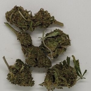 Holy Grail