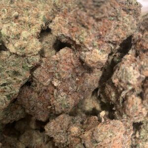 Gelato Eclipse (Kootenay Exotic)