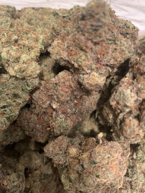 Gelato Eclipse (Kootenay Exotic)