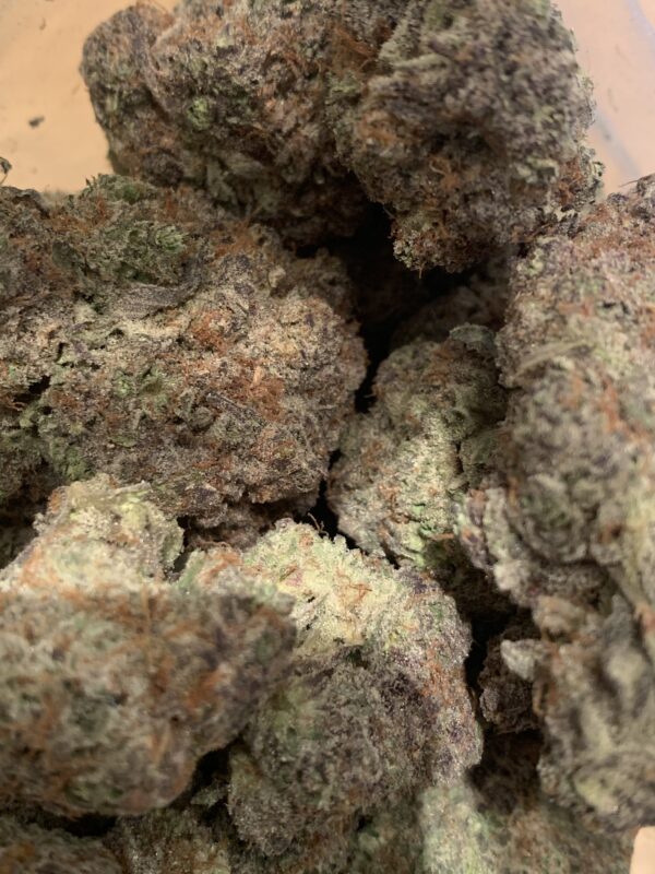 Dino Poop (Kootenay Exotic)