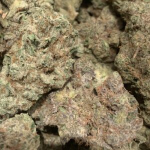 Mint Chocolate Chip (Kootenay Exotic)