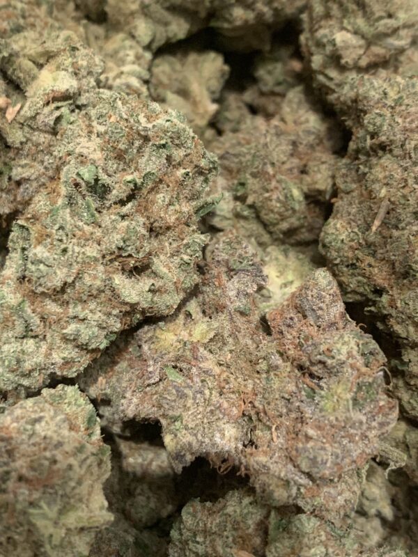 Mint Chocolate Chip (Kootenay Exotic)