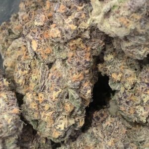 Oklahoma Coma (Kootenay Exotic)