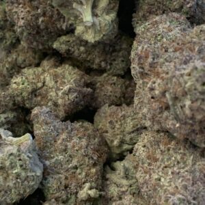 Fruit Loops (Kootenay Exotic)