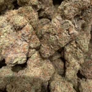 Gushers (Kootenay Exotic)