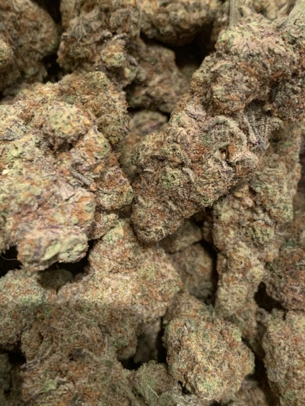 Gushers (Kootenay Exotic)
