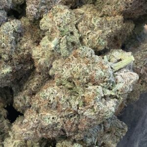 Sour Cherry Gelato (Kootenay Exotic)